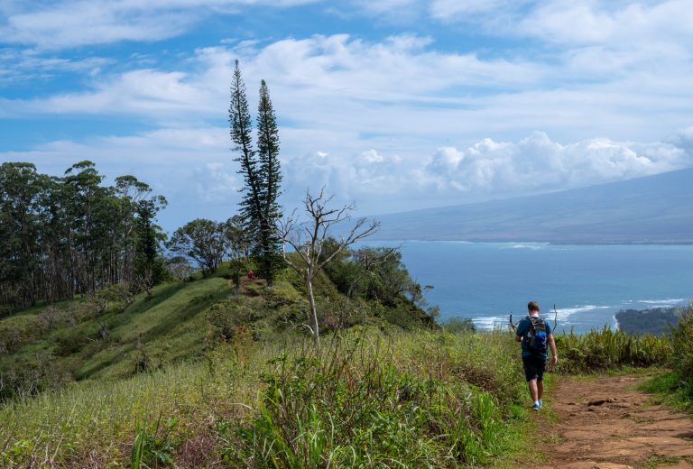 hiker on trail with views