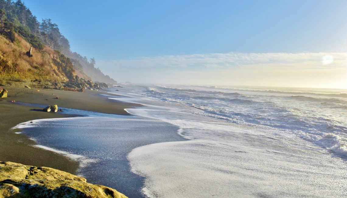 View of beach on the Olympic coast