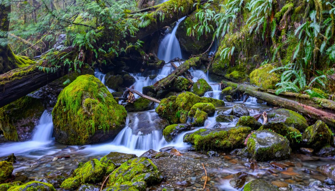 waterfalls and mossy rocks