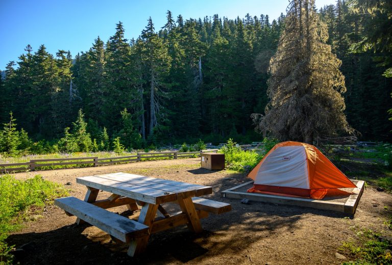 tentsite at Mowich Lake