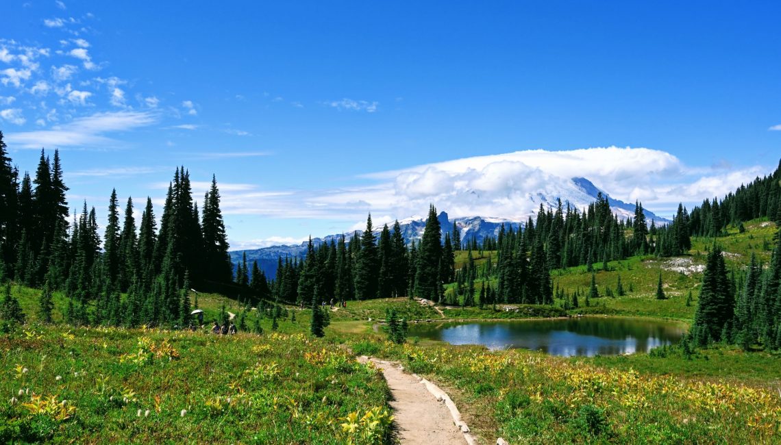 Views of Mount Rainier on the Naches Peak Trail